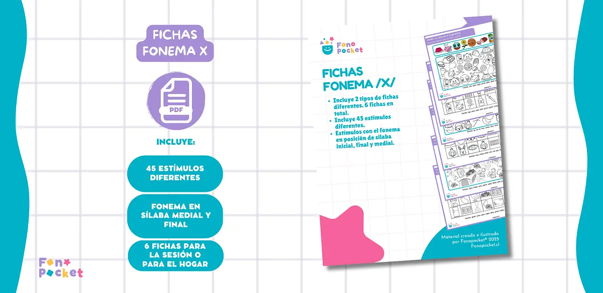 FICHAS X.png