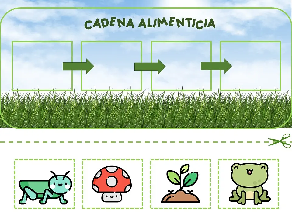 Cadena alimenticia2.jpg