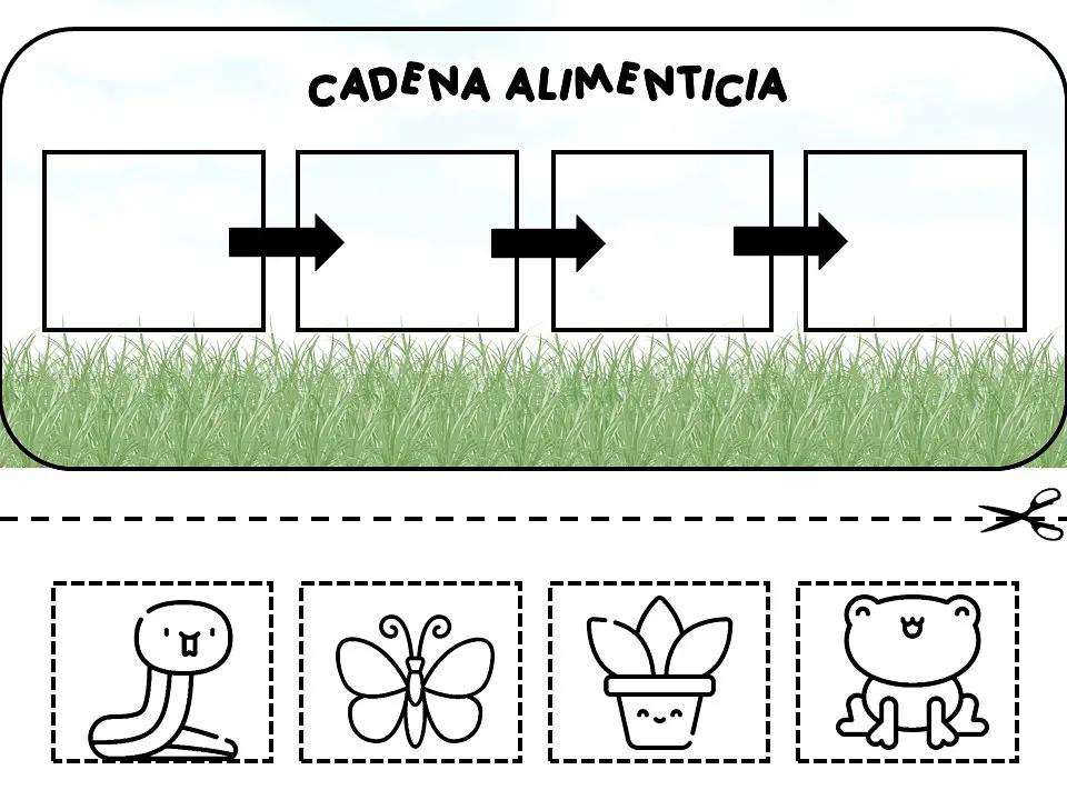 Cadena alimenticia1.jpg