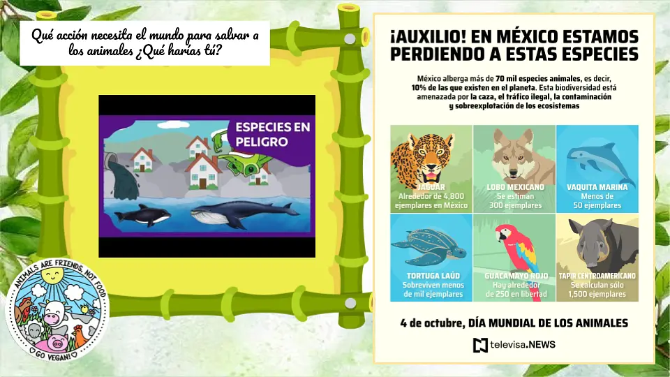 Salas de espera ANIMALES (1).png