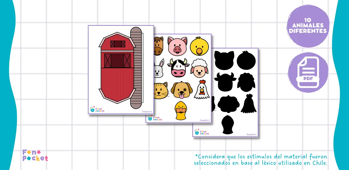 SEGUIMIENTO INSTRUCCIONES ANIMALES (2).png