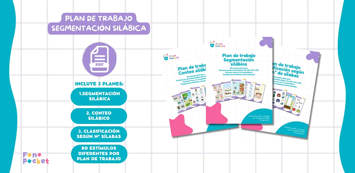 PLAN TRABAJO SEGMENTACIÓN.png
