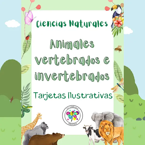 Spanish Flash Cards Science Animals Tarjetas Animales Vertebrados Invertebrados