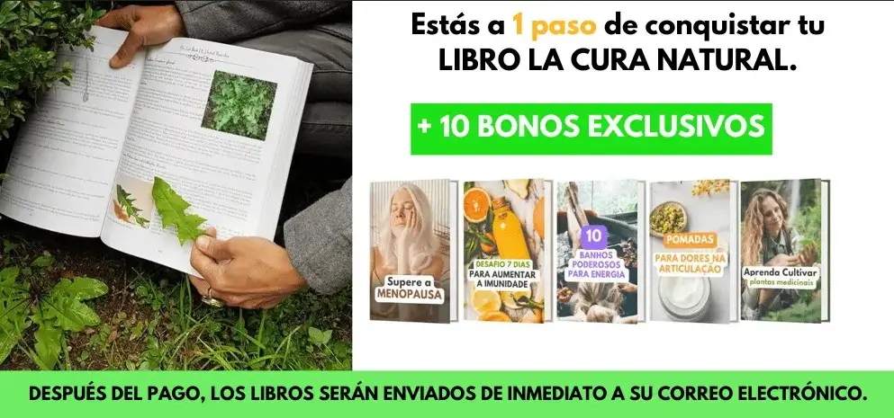 Libro.jpg