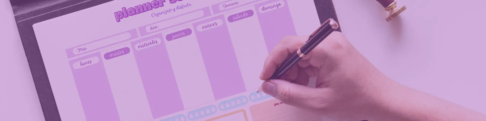 Bum Bum Plan - @bumbumplan cover photo