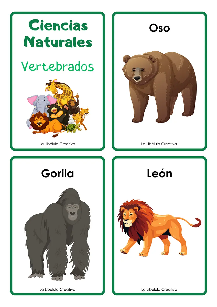 VERTEBRADOS E INVERTEBRADOS ANIMALES TARJETAS ILUSTRATIVAS1.png