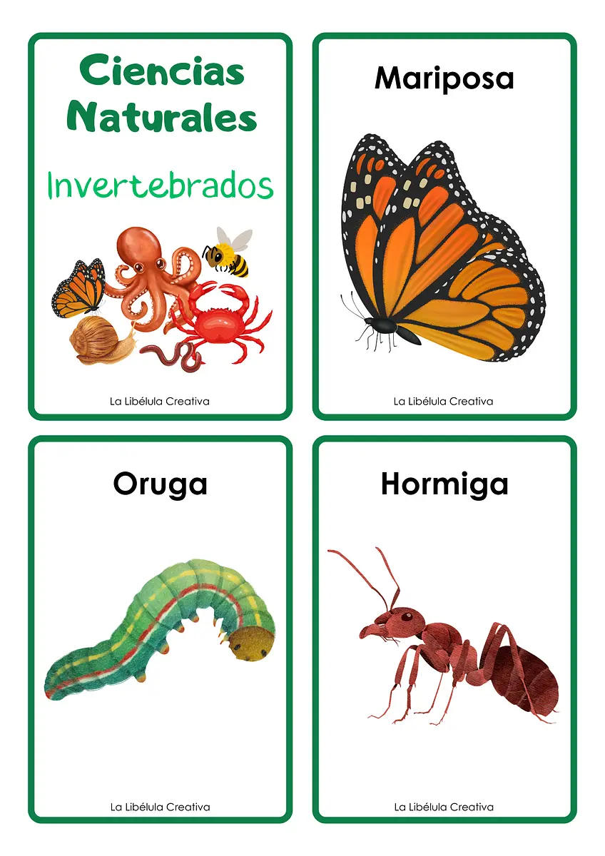 VERTEBRADOS E INVERTEBRADOS ANIMALES TARJETAS ILUSTRATIVAS2.png