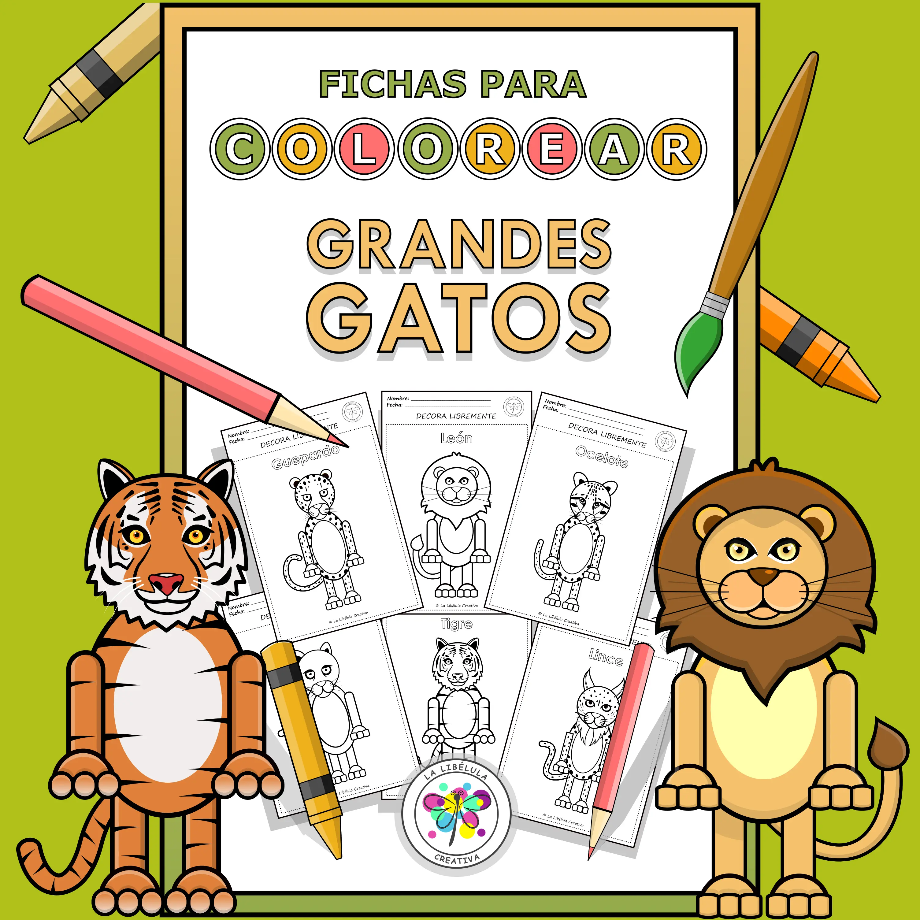 Spanish Worksheets Coloring Big Cats Animals Colorear Grandes Gatos Animales