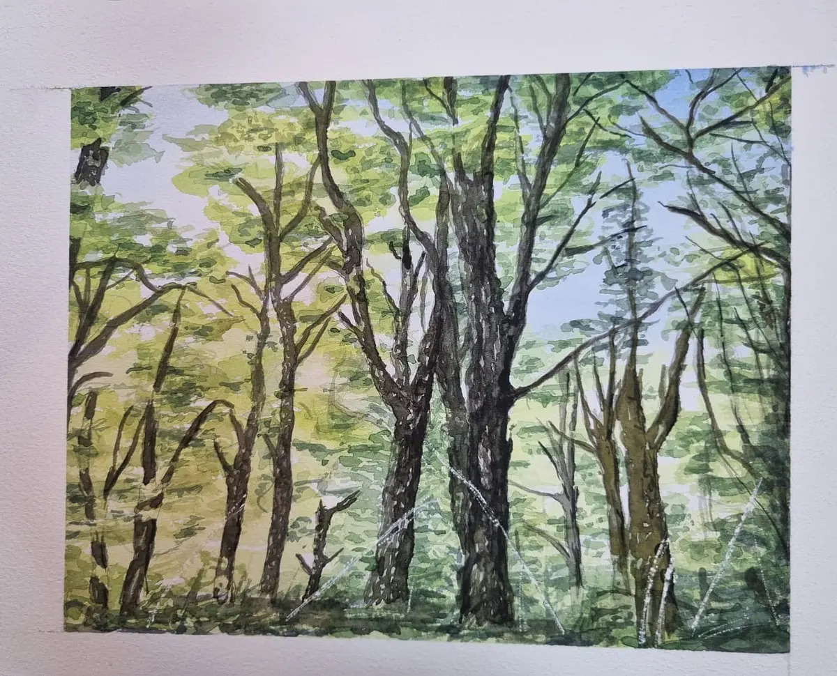 WhatsApp Image 2024-06-29 at 21.07.17 (2).jpeg