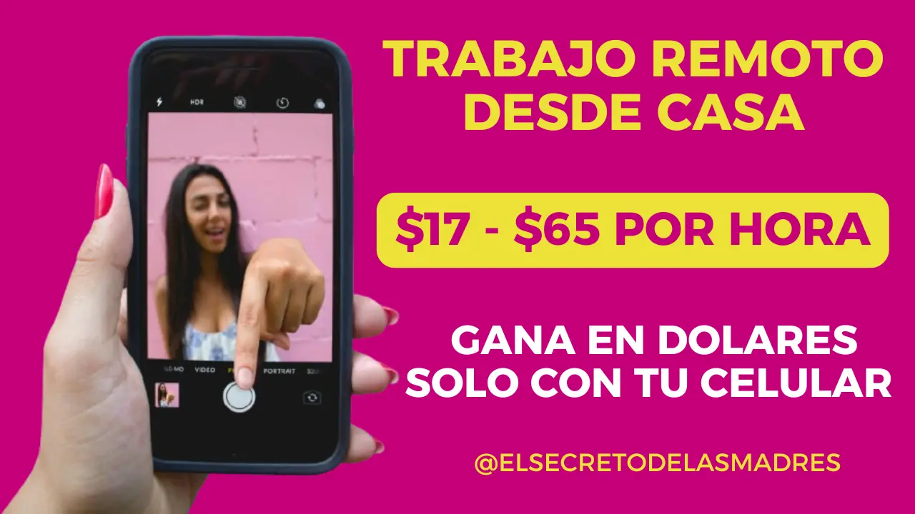 El sec8.png