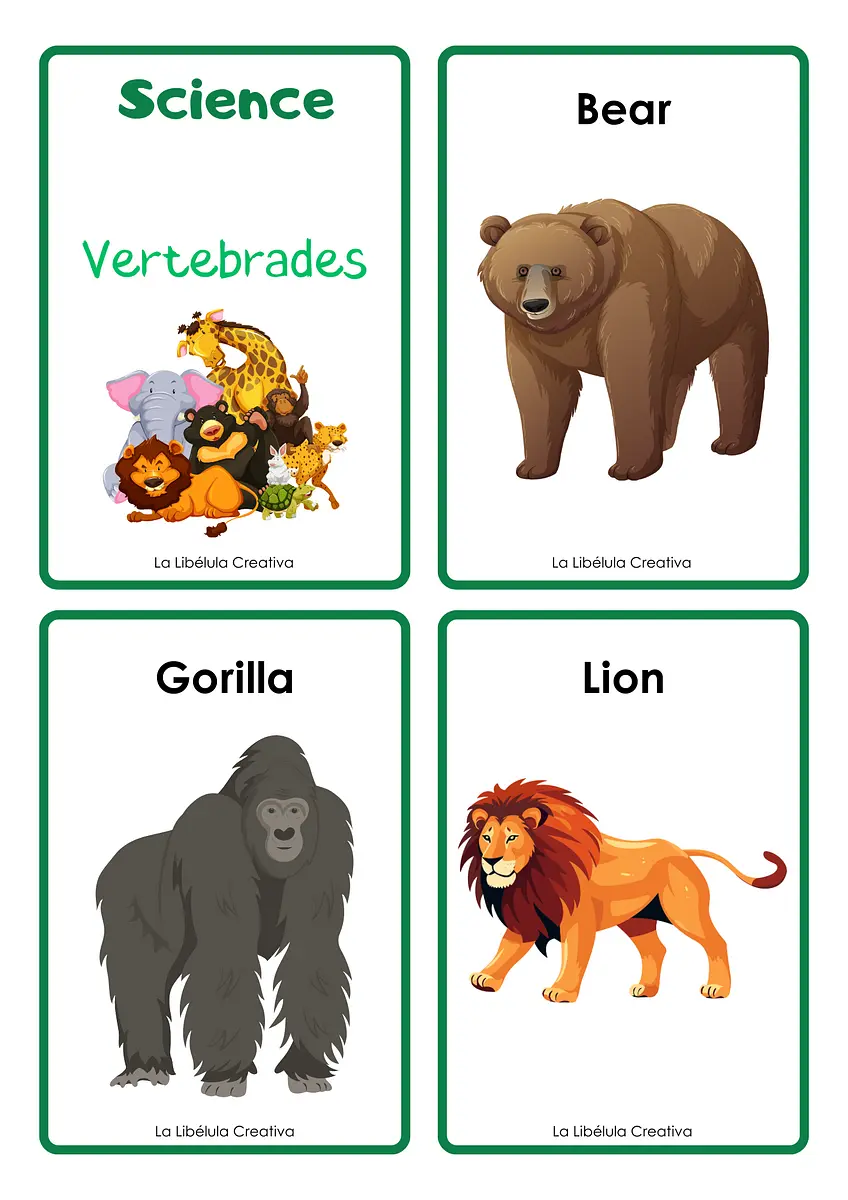 VERTEBRATES AND INVERTEBRATES ANIMALS FLASH CARDS1.png