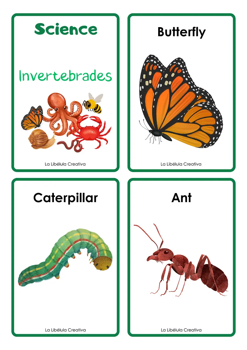 VERTEBRATES AND INVERTEBRATES ANIMALS FLASH CARDS2.png