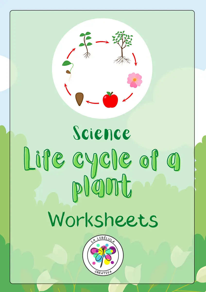 SCIENCE LIFE CYCLE PLANT.png