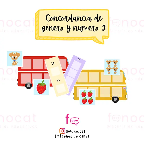 Concordancia de Género y Número