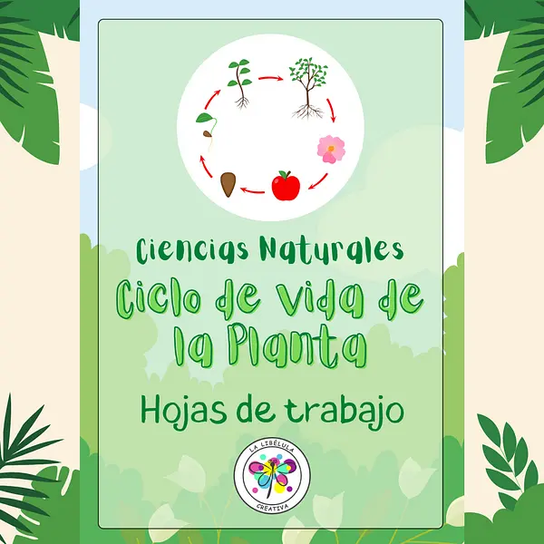 Spanish Science Life Cycle Worksheets Plants Ciclo de Vida Plantas Ciencias