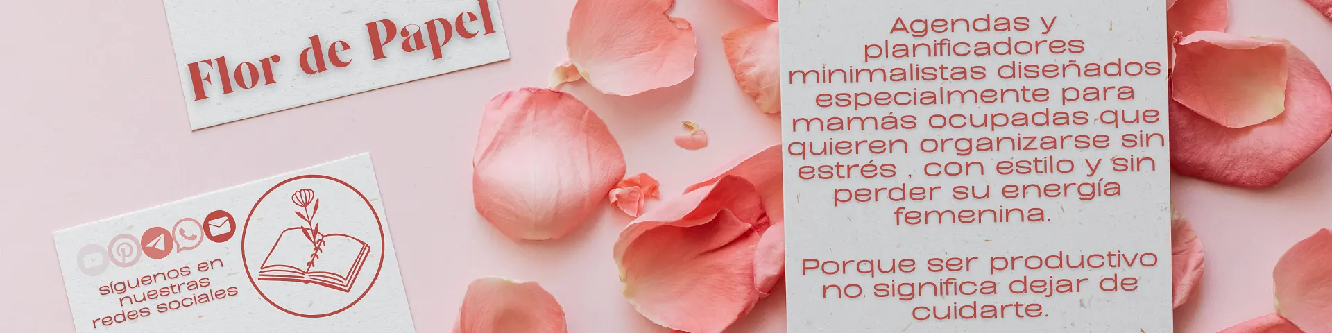 Flor de Papel - @flordepapel03 cover photo