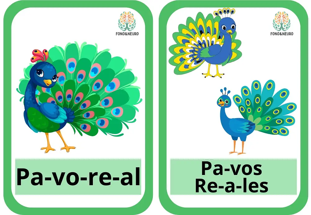 pavo.png