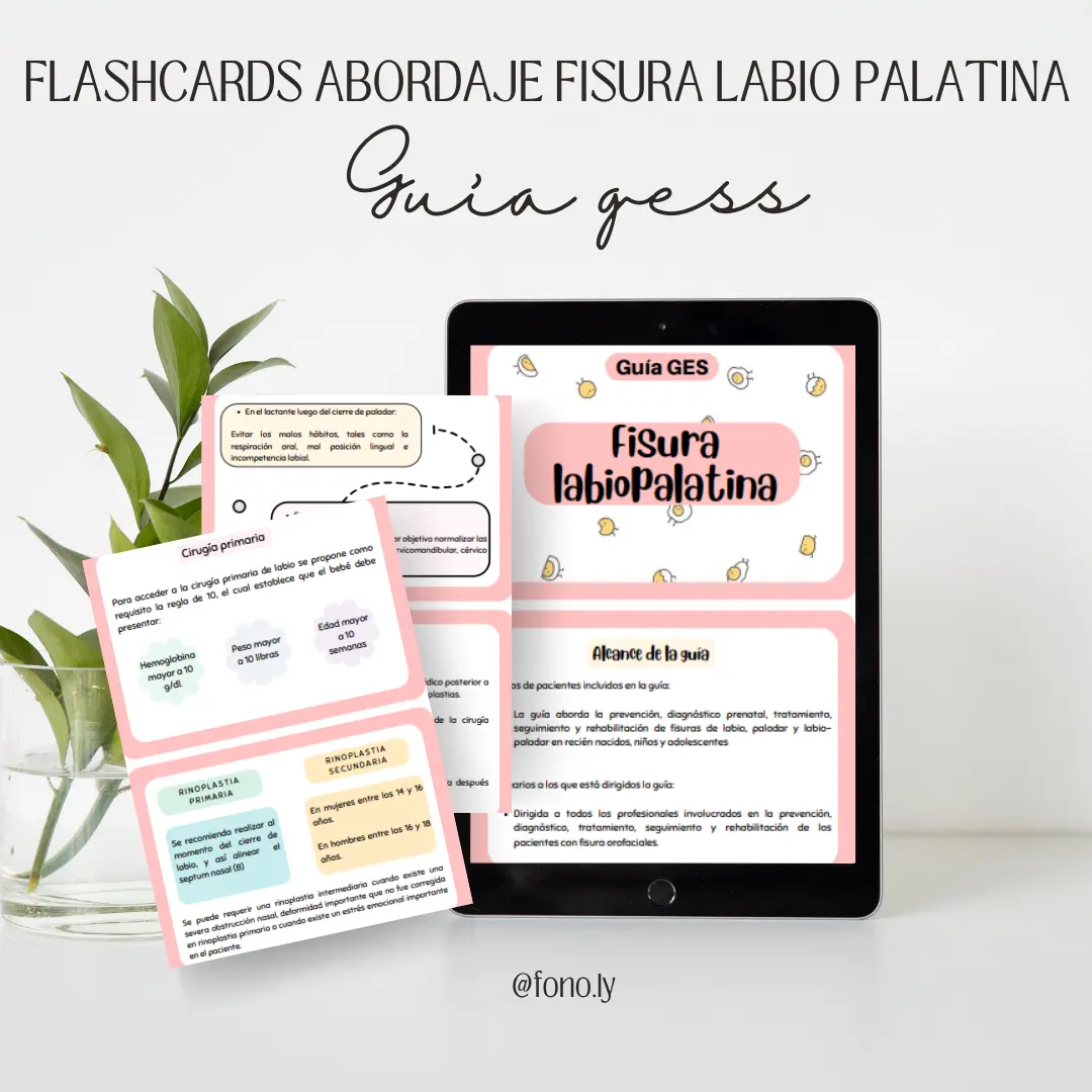 Flashcards: Guía GES fisura labiopalatina