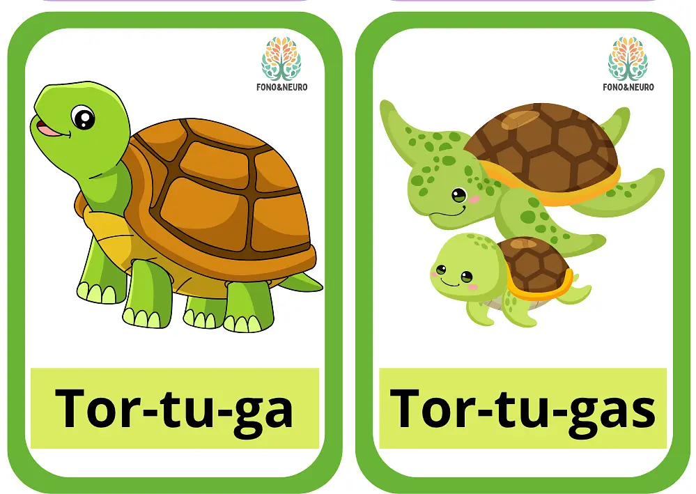 Tortuga.png