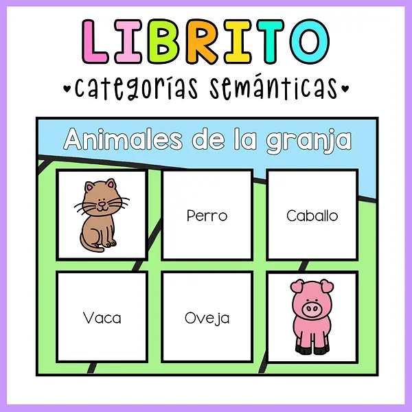 LIBRITO CATEGORIAS SEMÁNTICAS