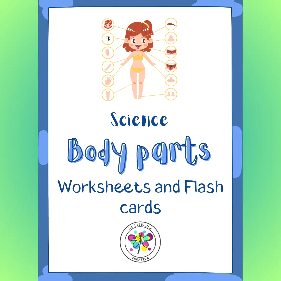 Science Body Parts Worksheets Flash Cards Human NO PREP Color