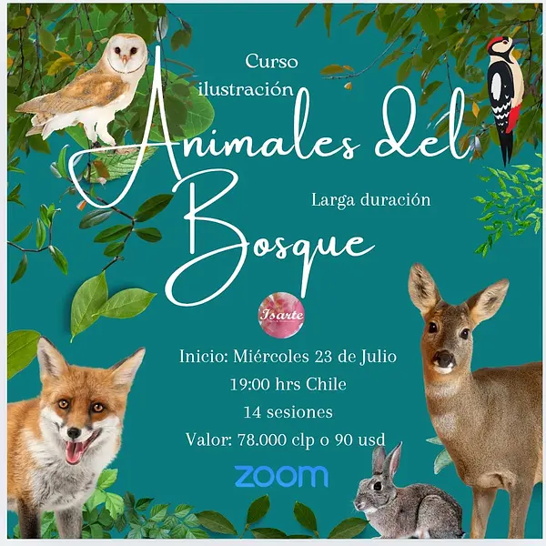 Curso Animales del Bosque. Ilustración