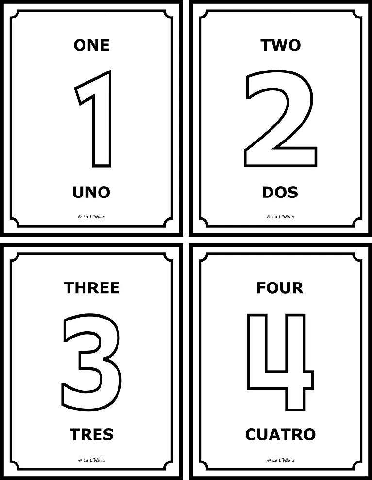 FLASH CARDS NUMEROS 0 A 100 - COLOR Y BN - BILINGUE_#g89936.png