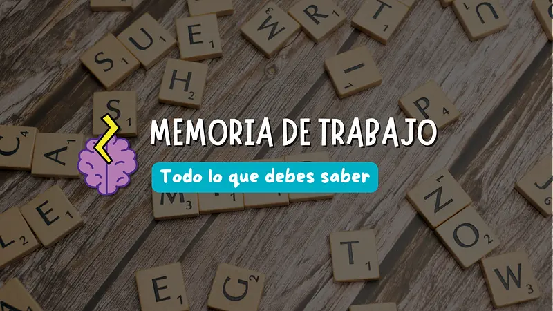 Memoria de trabajo: todo lo que debes saber