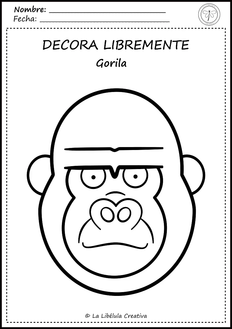 IMG (2).png