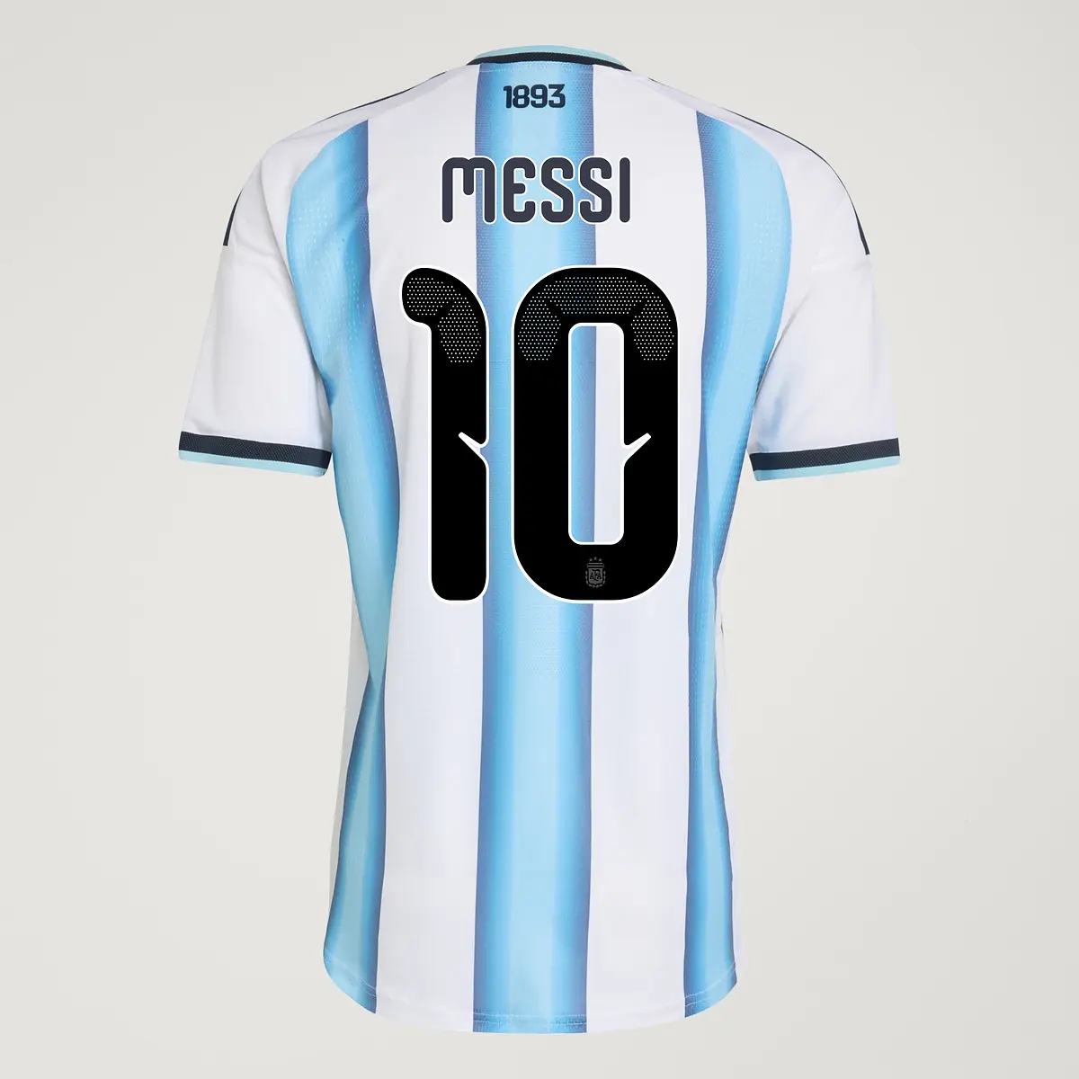 camiseta argentina.jpg