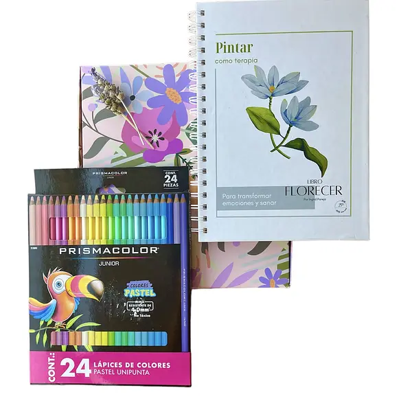 Caja Artística Lápices de Colores