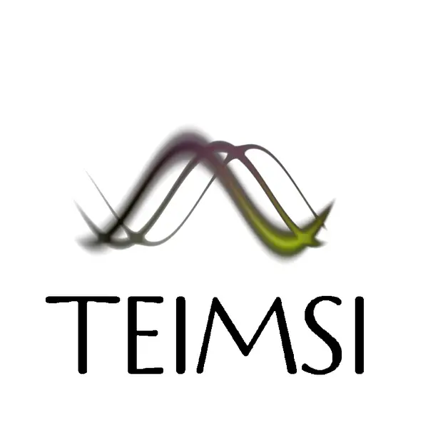 TEIMSI Compiler Professional Edition V0.95