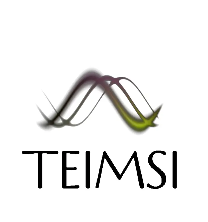 TEIMSI Compiler Professional Edition V0.95