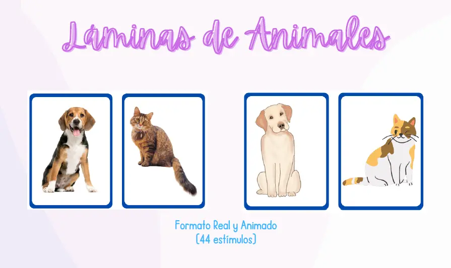 Láminas de Animales