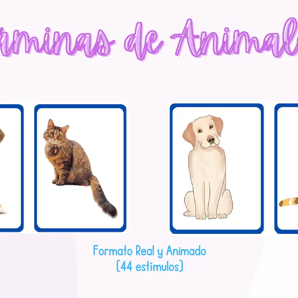 Láminas de Animales