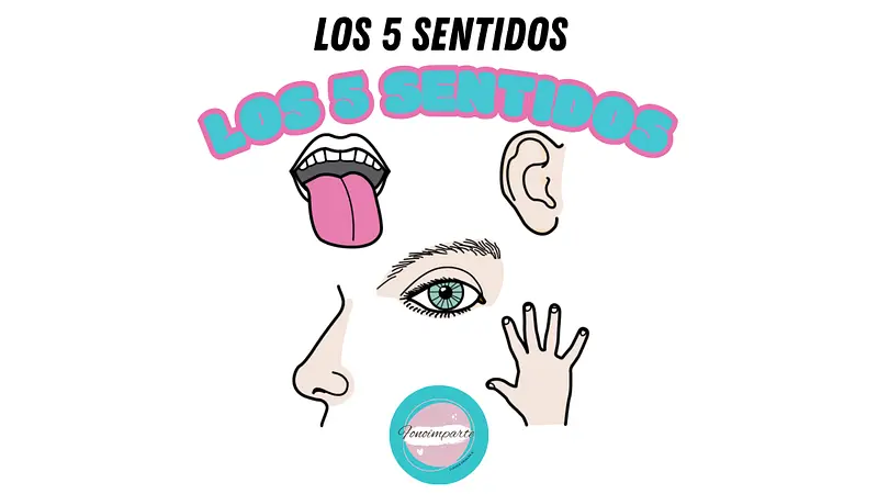 Los 5 Sentidos