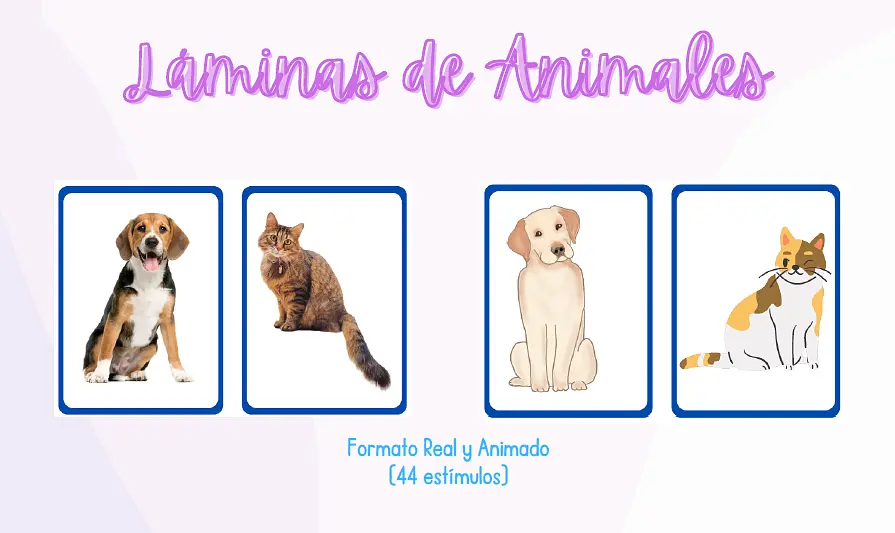 Captura de pantalla 2025-07-21 190822.png