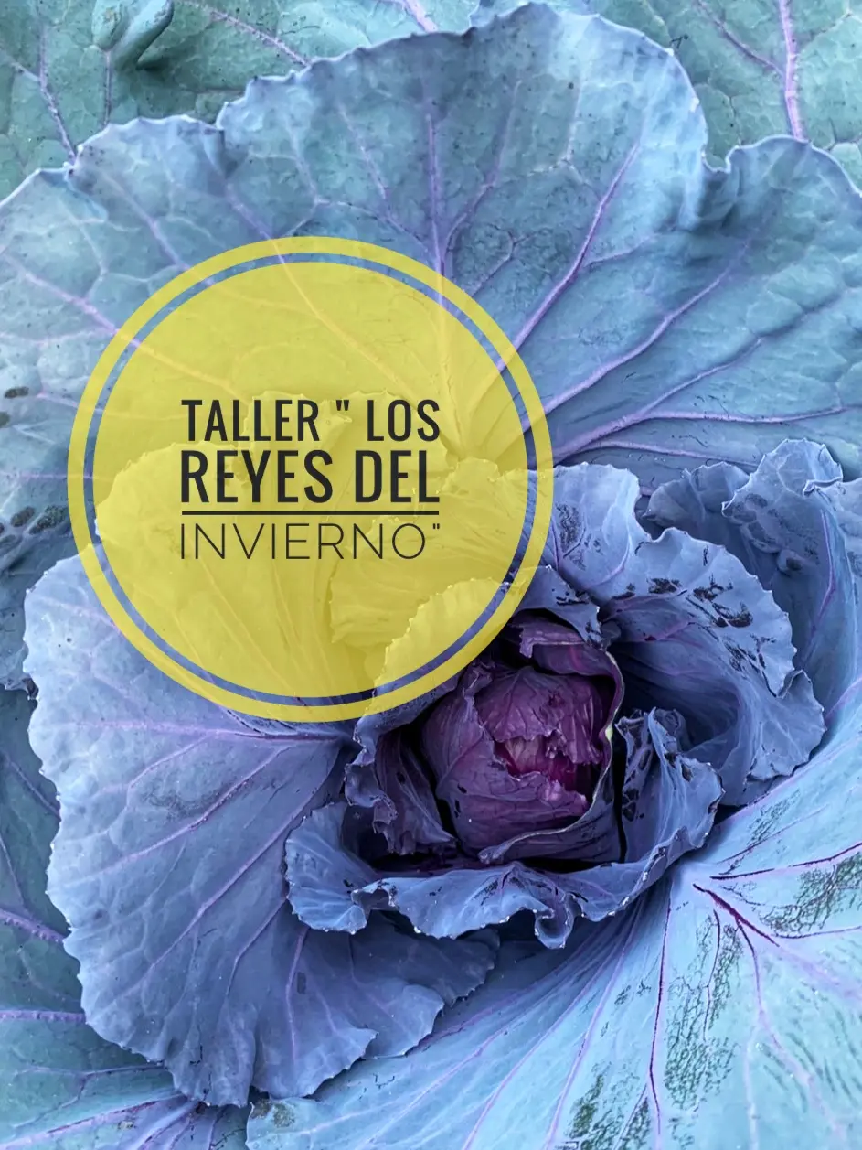 Los Reyes del Invierno 6 de Abril