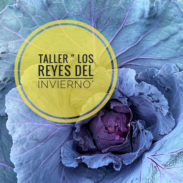 Los Reyes del Invierno 6 de Abril