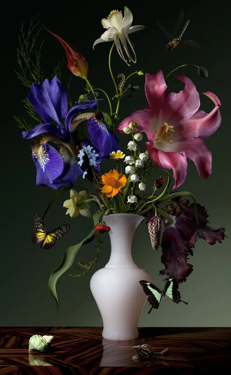 WhatsApp Image 2026-01-19 at 14.55.40 (1).jpeg