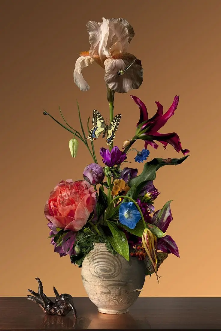 WhatsApp Image 2026-01-19 at 14.55.40.jpeg