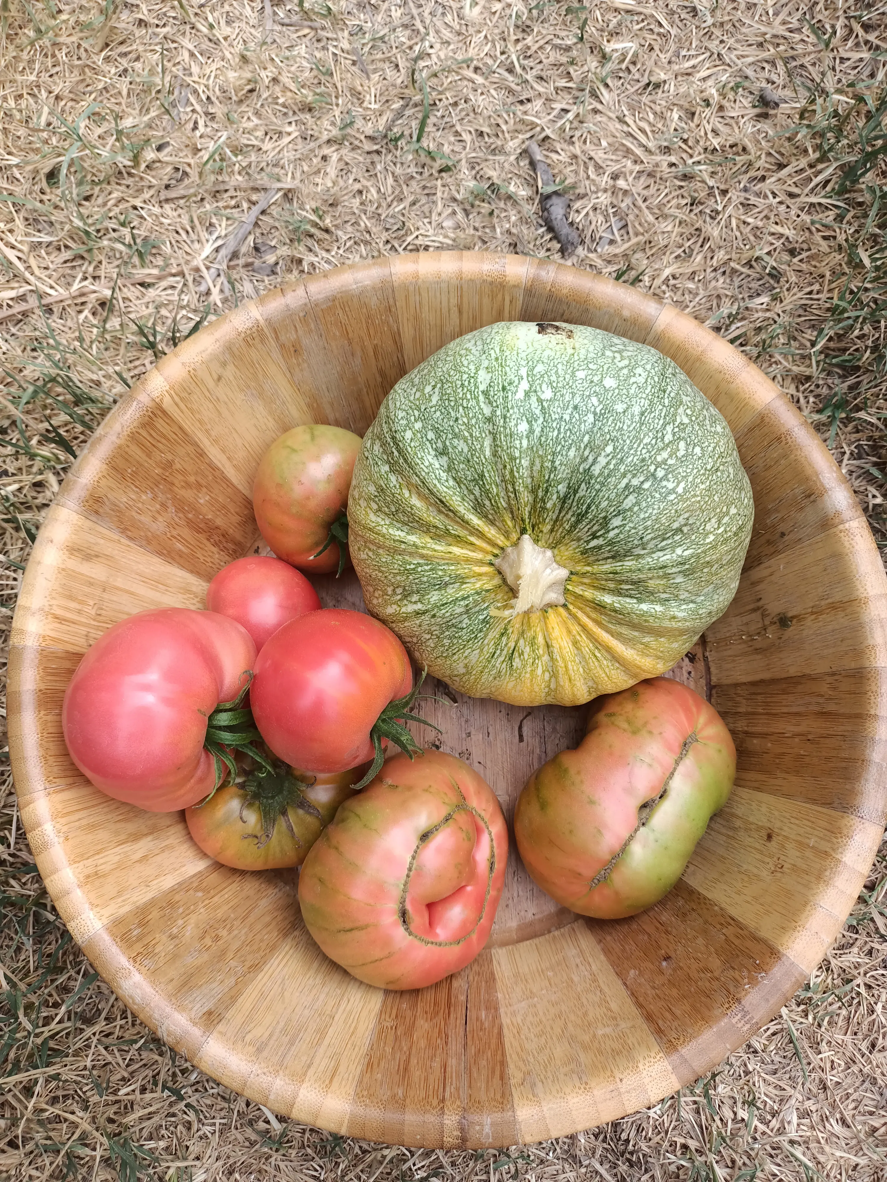 Seminario Tomates