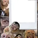 Monillo.com - @monillo