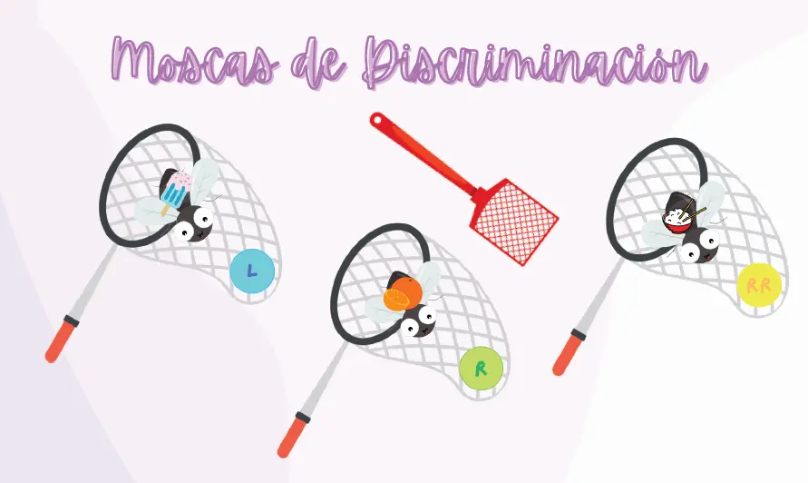 Moscas de Discriminación L-R-RR