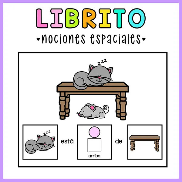 LIBRITO NOCIONES ESPACIALES