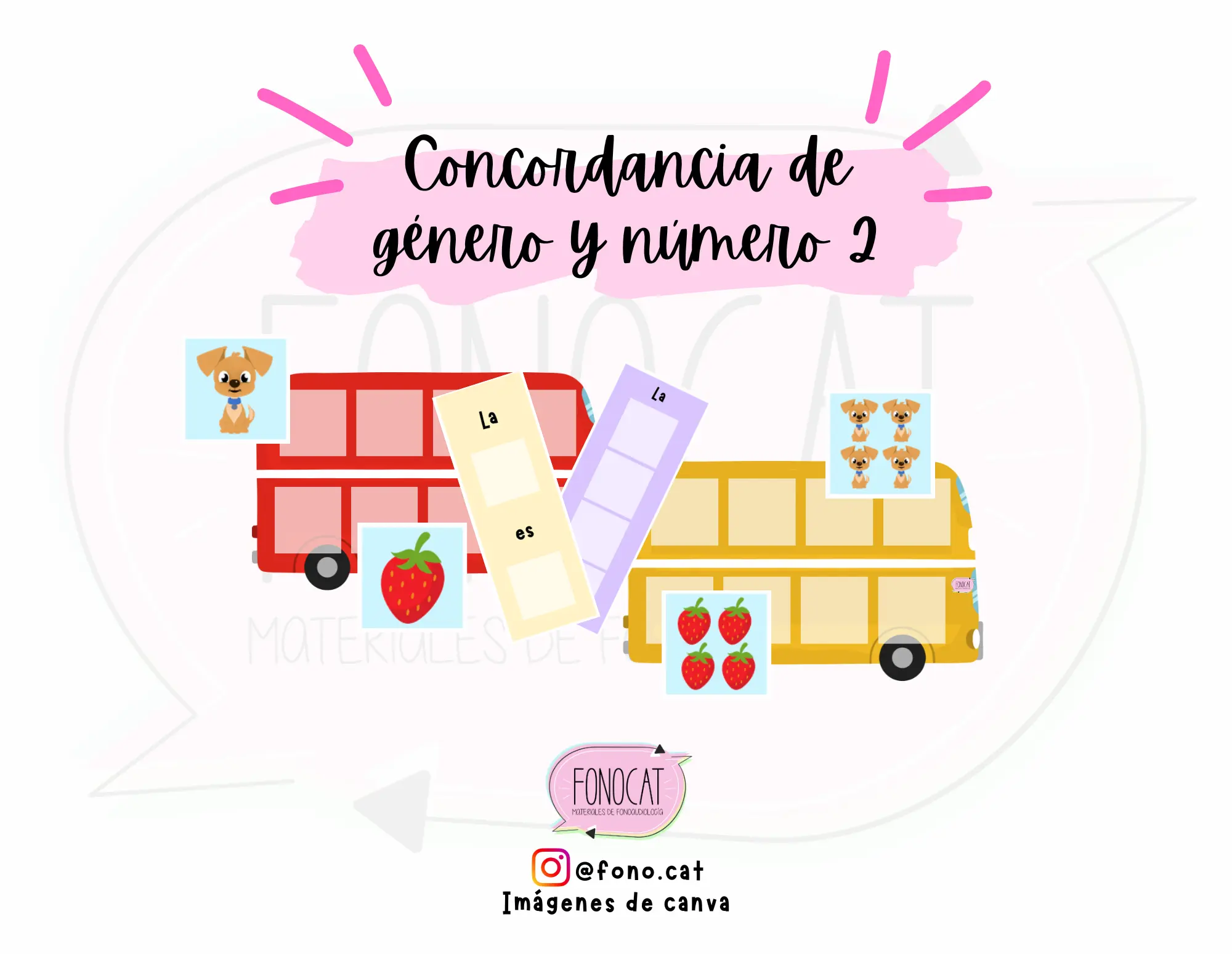Concordancia de Género y Número