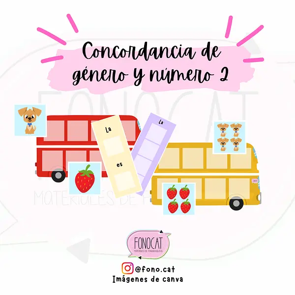 Concordancia de Género y Número