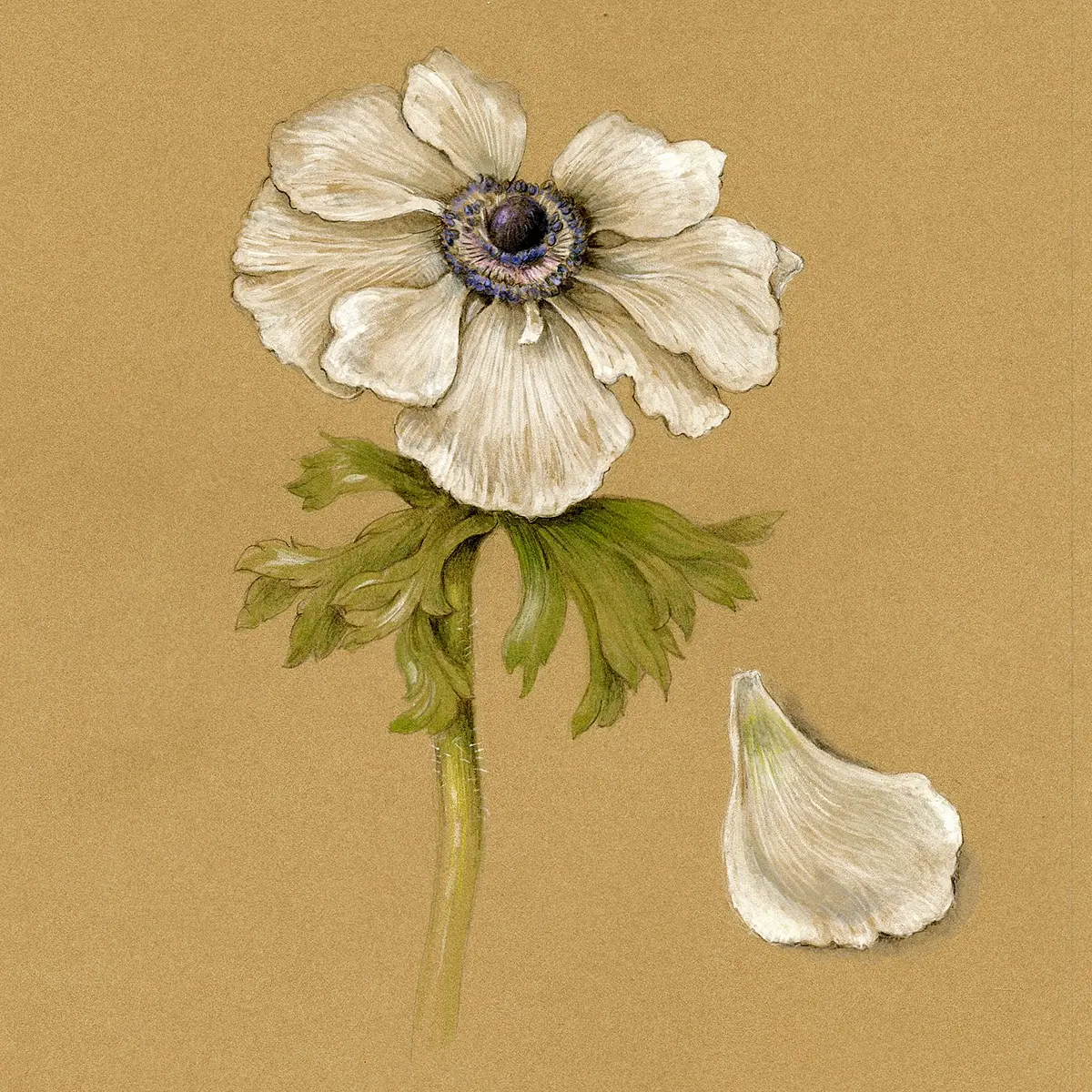 WhatsApp Image 2025-11-14 at 11.34.33.jpeg