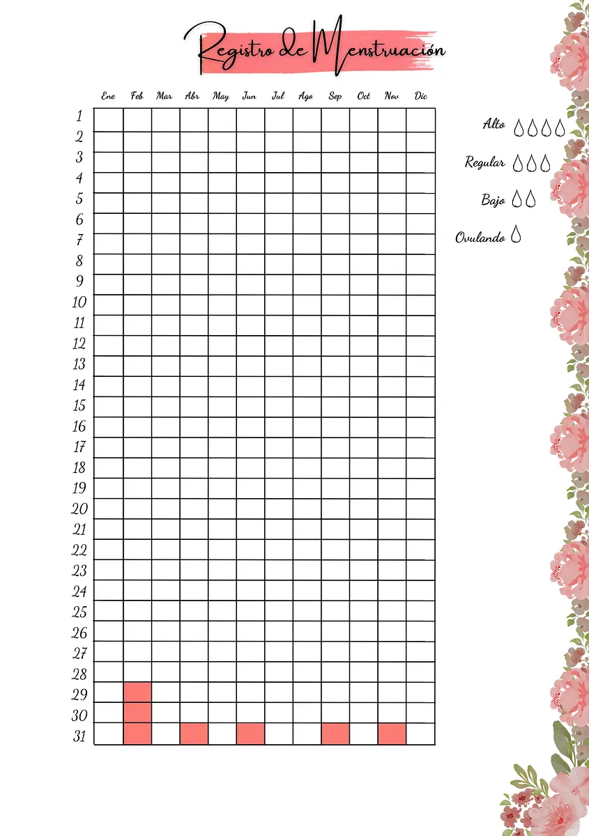 registro de menstruacion.png