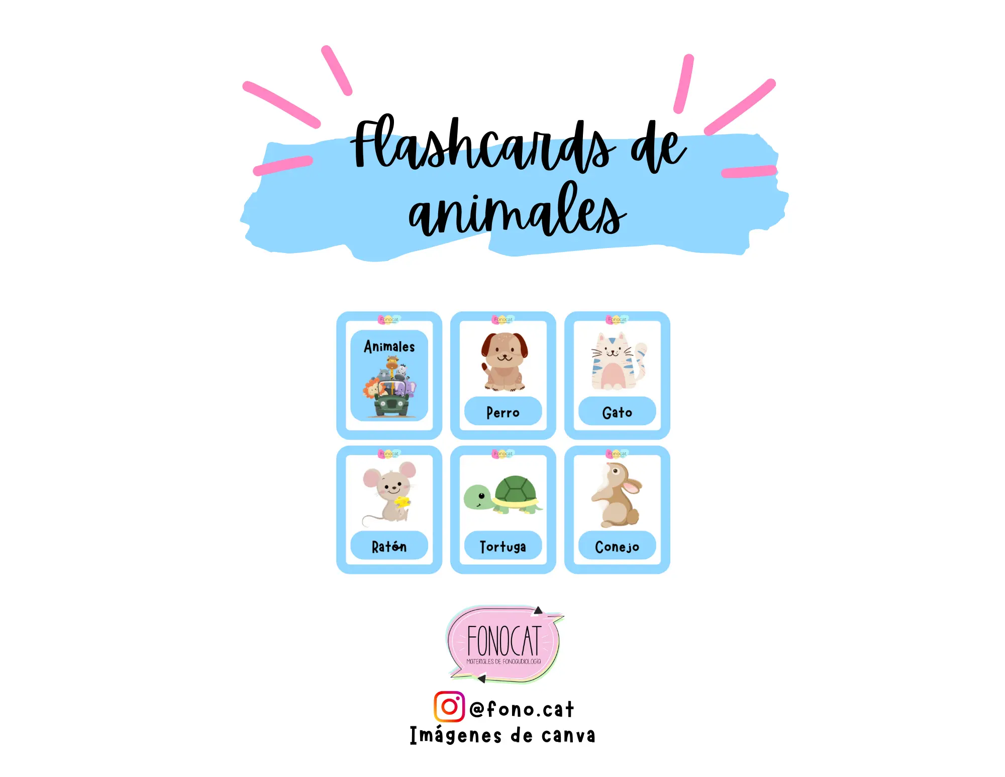 Flashcards Categorías Semánticas